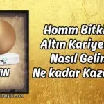 Homm Bitkisel Altın Kariyeri