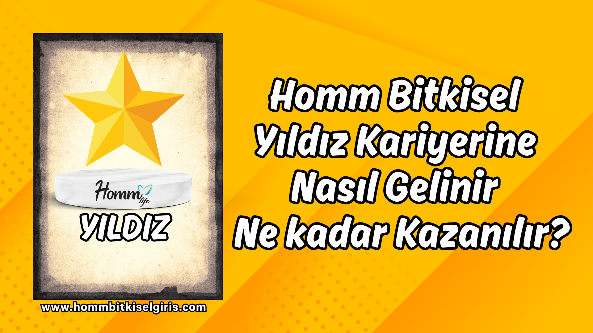 Ana Sayfa 13 Homm Bitkisel Yıldız Kariyerine Nasıl Gelinir ve Ne kadar Kazanılır